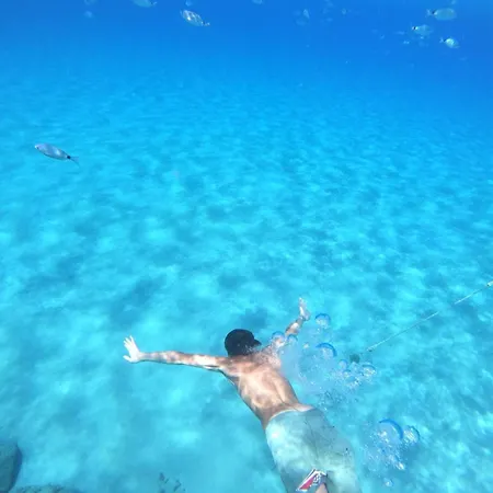 Efilia Bestvacationever Terra Mala